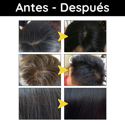 Shampoo Cubre Canas
